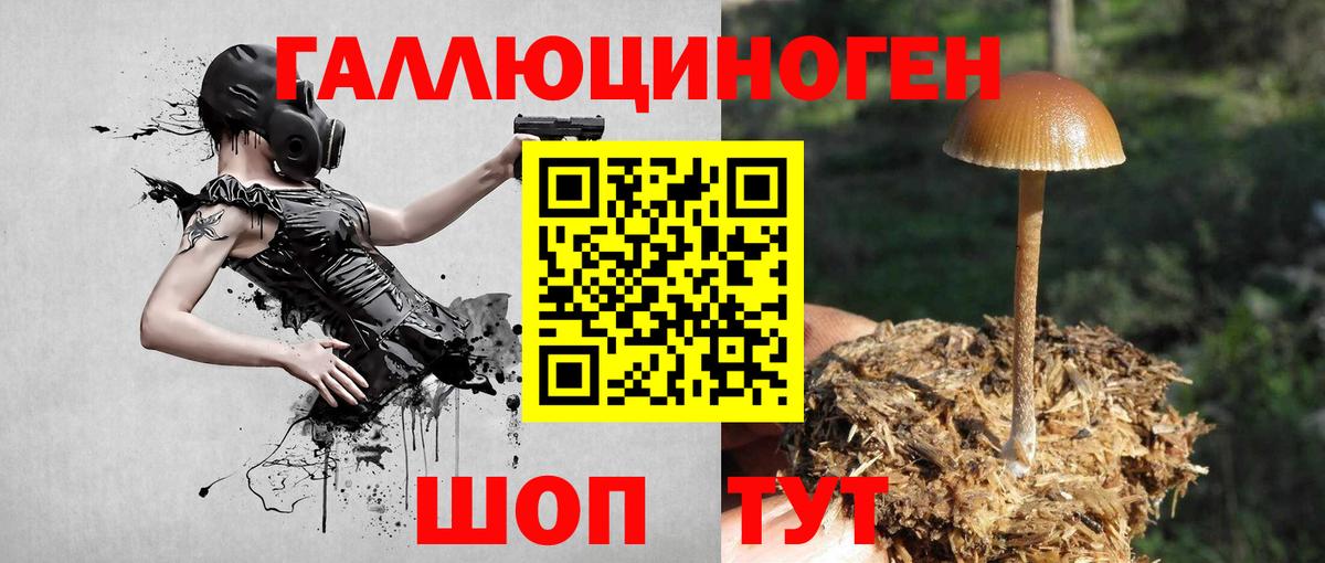 Аша  Галлюциногенные грибы MAGIC MUSHROOMS  Вход с VPN 