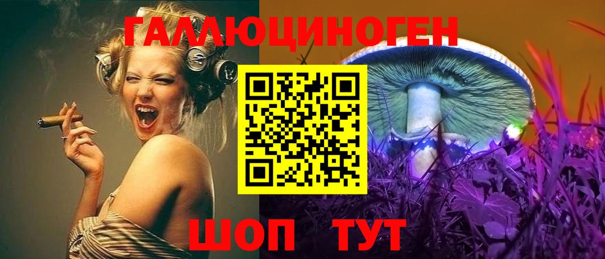 Галлюциногенные грибы Psilocybine cubensis Аша